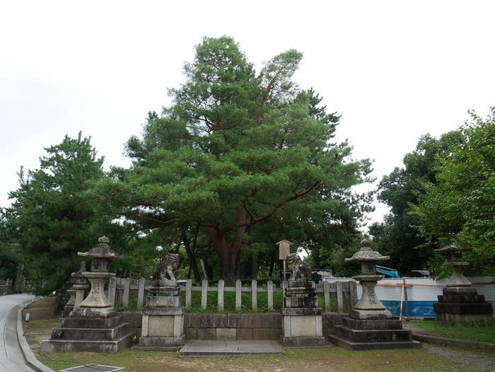 【京都】北野天満宮の見どころガイド～七不思議や周辺スポット紹介も～