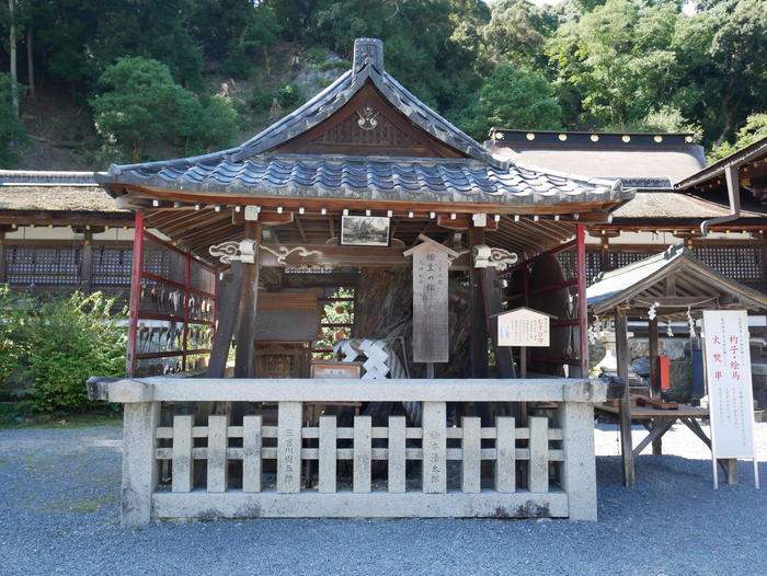 松尾大社（京都）の完全ガイド～お酒の神様の由来や境内の見どころなど～