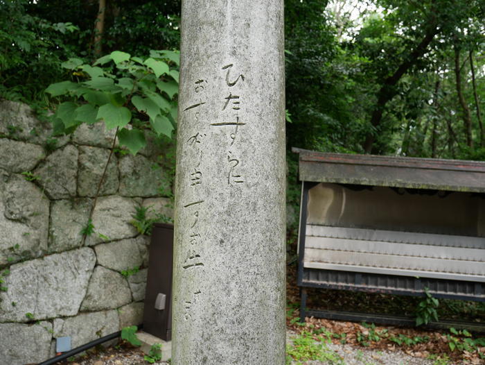 【京都】北野天満宮の見どころガイド～七不思議や周辺スポット紹介も～