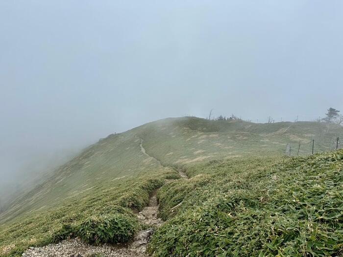 【日本百名山】23座目は天空の絶景ロードを見たくて剣山へ（徳島県）