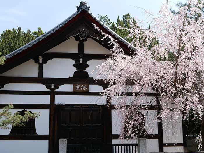 【京都】京都最古の禅寺、建仁寺は知る人ぞ知るインスタ映えスポット！