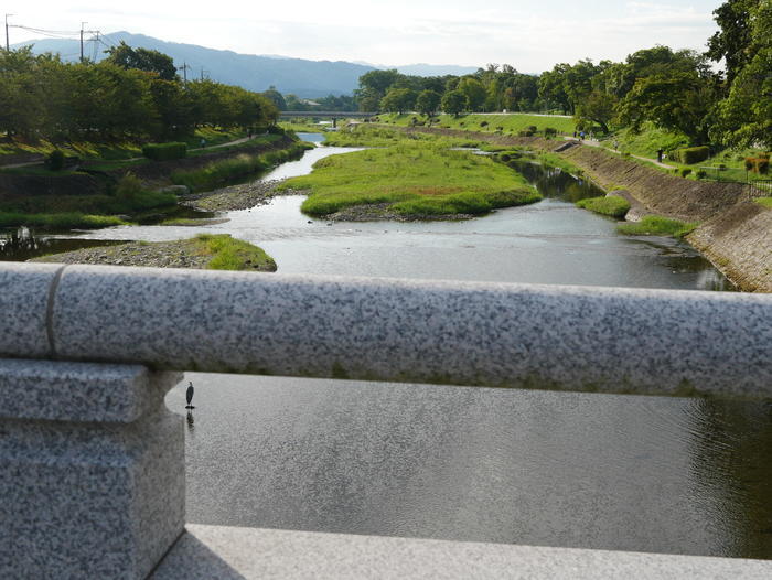 【京都】上賀茂神社（賀茂別雷神社）の見どころ・パワースポット・御朱印などを徹底解説