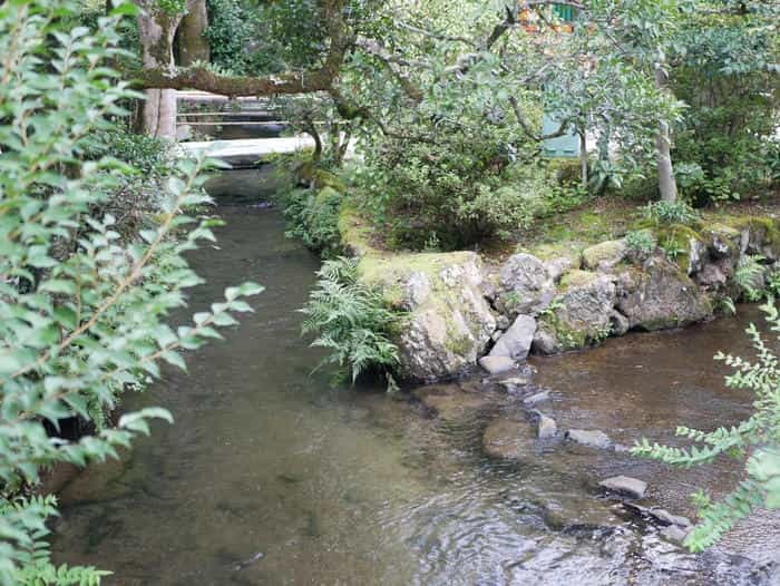 【京都】上賀茂神社（賀茂別雷神社）の見どころ・パワースポット・御朱印などを徹底解説