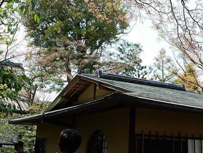 【京都】京都最古の禅寺、建仁寺は知る人ぞ知るインスタ映えスポット！