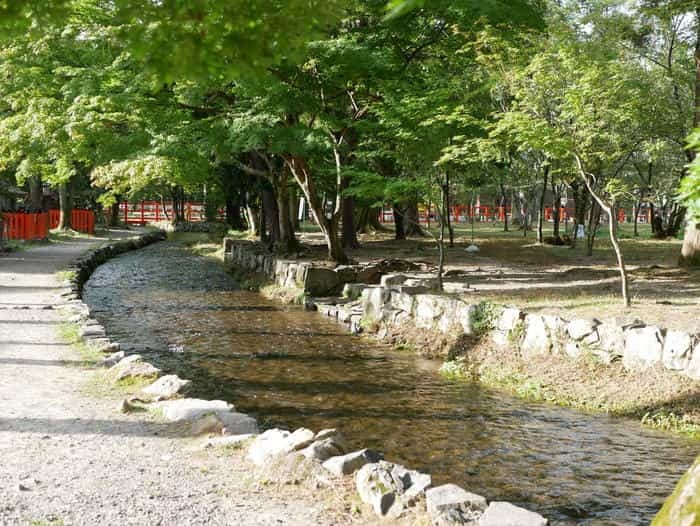 【京都】上賀茂神社（賀茂別雷神社）の見どころ・パワースポット・御朱印などを徹底解説