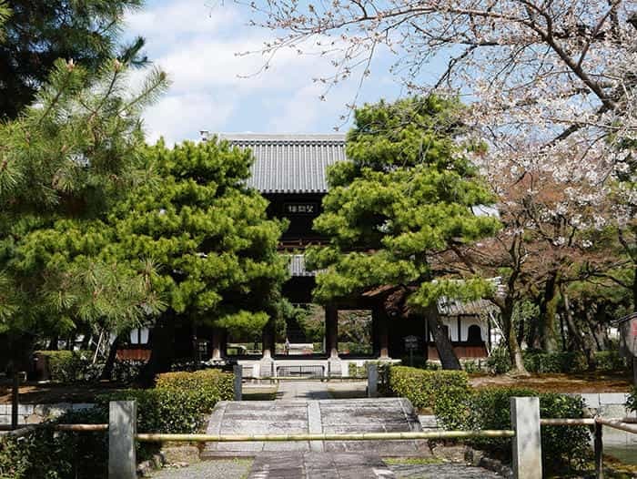 【京都】京都最古の禅寺、建仁寺は知る人ぞ知るインスタ映えスポット！