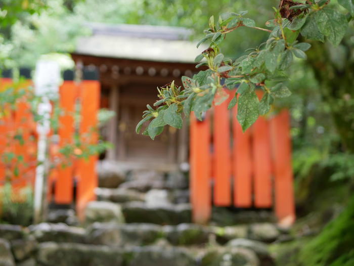 【京都】上賀茂神社（賀茂別雷神社）の見どころ・パワースポット・御朱印などを徹底解説