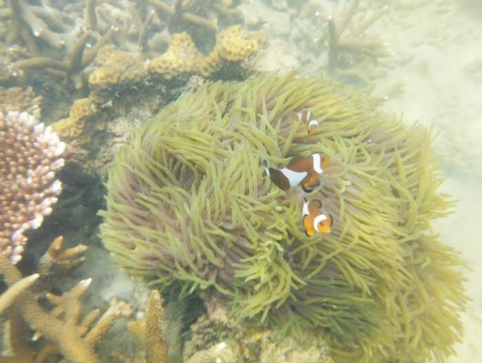 マレーシアのカパス島は日帰りでバカンス気分を楽しめる場所！