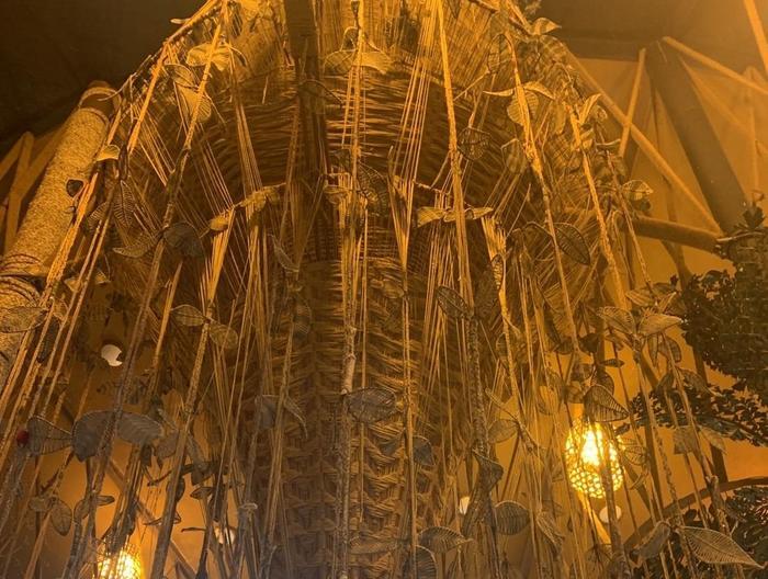 インドのトライバル博物館に行ったらエンタメだった