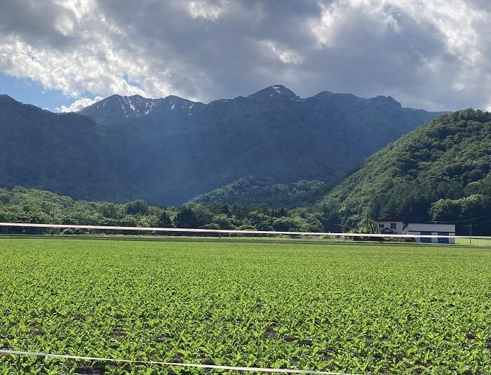 【富良野・山部】このユニークなため池は、なぜ作られたのか？