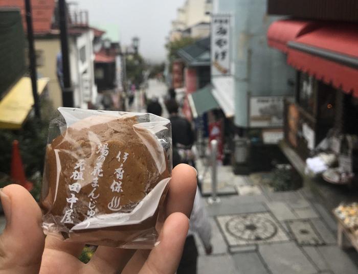 石の階段を楽しむ伊香保温泉