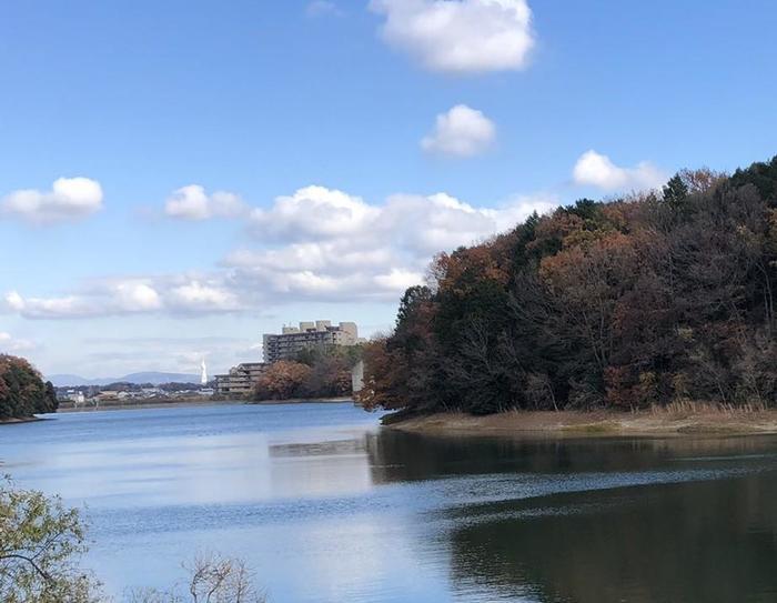 中世に出逢える町・河内長野の魅力をたっぷり紹介します!
