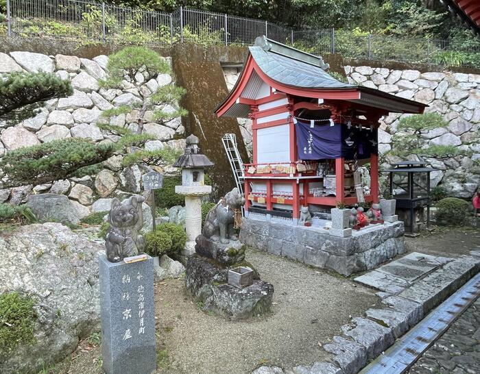 【徳島】猫神様に合格祈願！？「お松大権現」は猫好き必訪のパワースポット