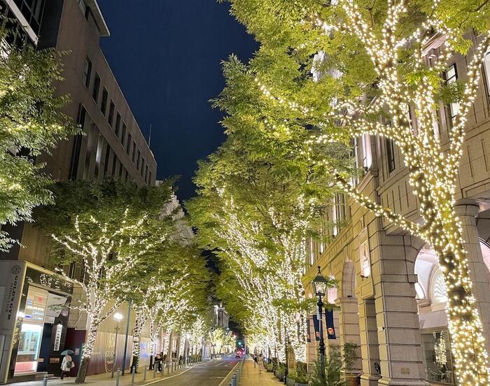 冬こそ神戸がおすすめ！煌く夜景に冬の花火、ロマンチックな街並みを歩こう