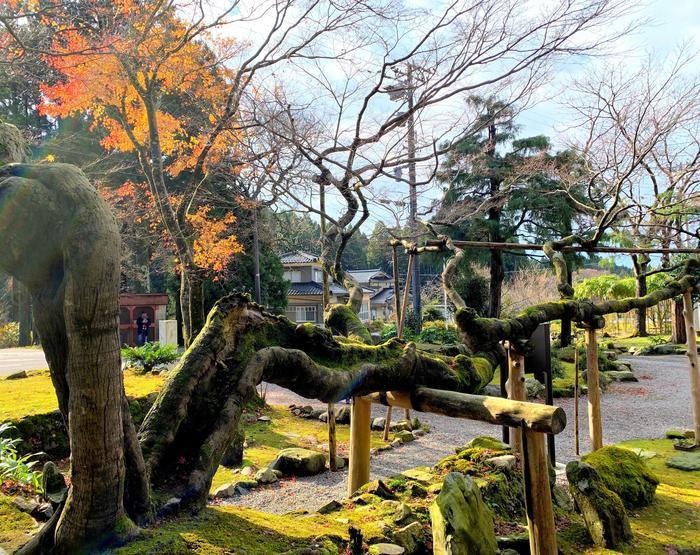 冬の北陸～パワースポット巡り～