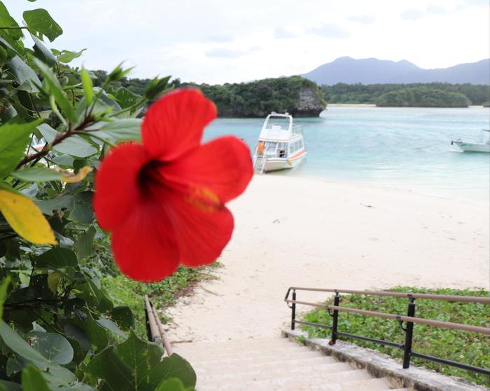 沖縄・石垣島の秘密基地！？「川平タバガー」に行ってきました！