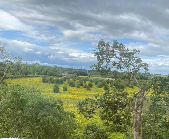 イギリスの季節の花々の織りなす絶景を楽しもう！