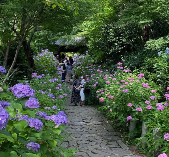 【愛知県】知る人ぞ知る四季の折々のお花見スポットをご紹介