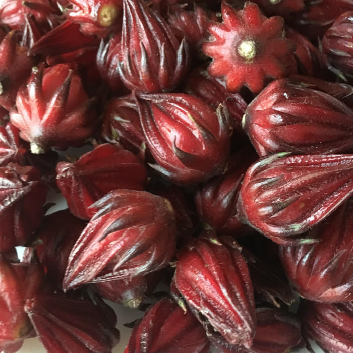 野菜や果物から始まる野菜ソムリエ的旅の組み立て方~名古屋への旅(ハイビスカスローゼル)