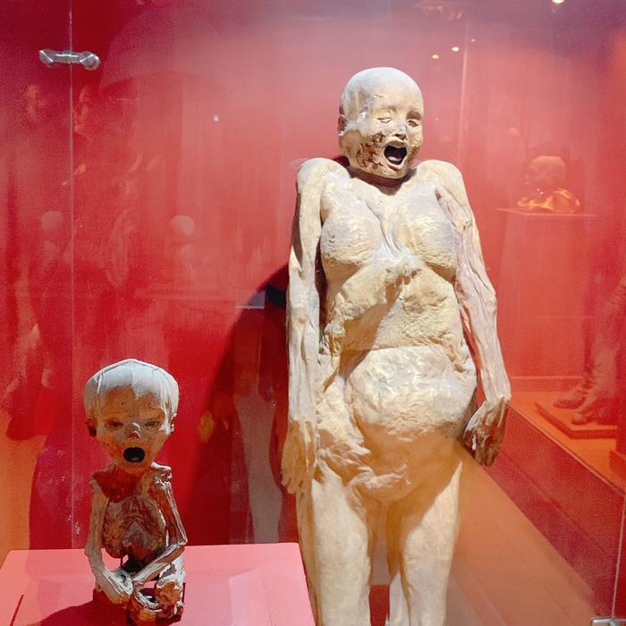 【メキシコ】グアナファトのミイラ博物館が私たちに教えてくれること