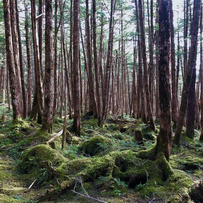 大自然に癒される長野県を周遊してきました!