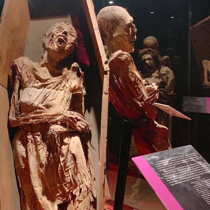 【メキシコ】グアナファトのミイラ博物館が私たちに教えてくれること