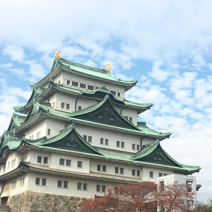 野菜や果物から始まる野菜ソムリエ的旅の組み立て方~名古屋への旅(ハイビスカスローゼル)