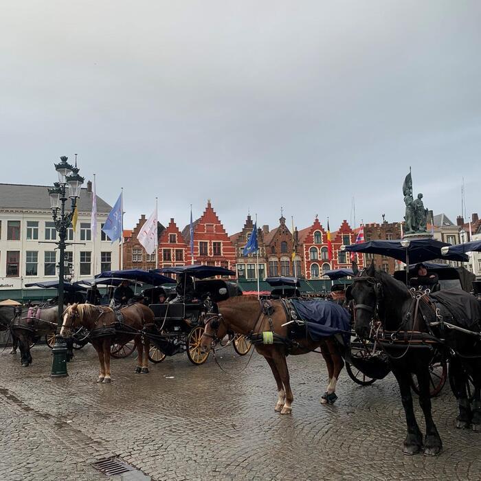 【オランダ・ベルギー】食に美術にクルーズまで!2カ国のハイライトを抑えた8日間ツアー☆
