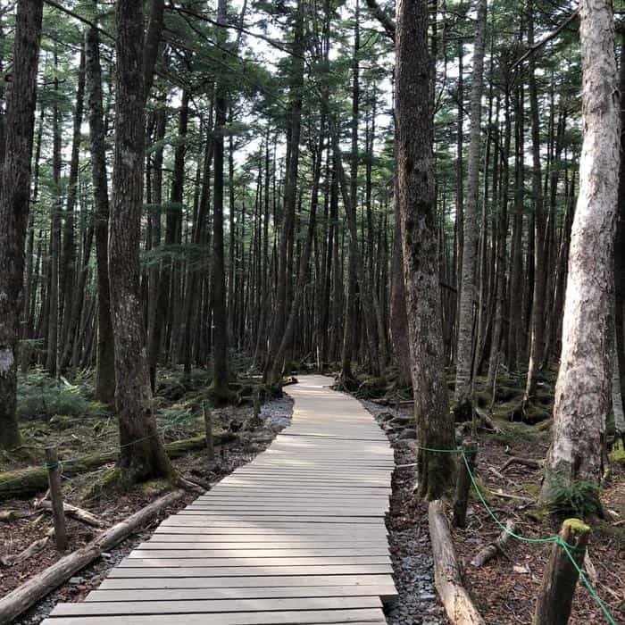大自然に癒される長野県を周遊してきました!
