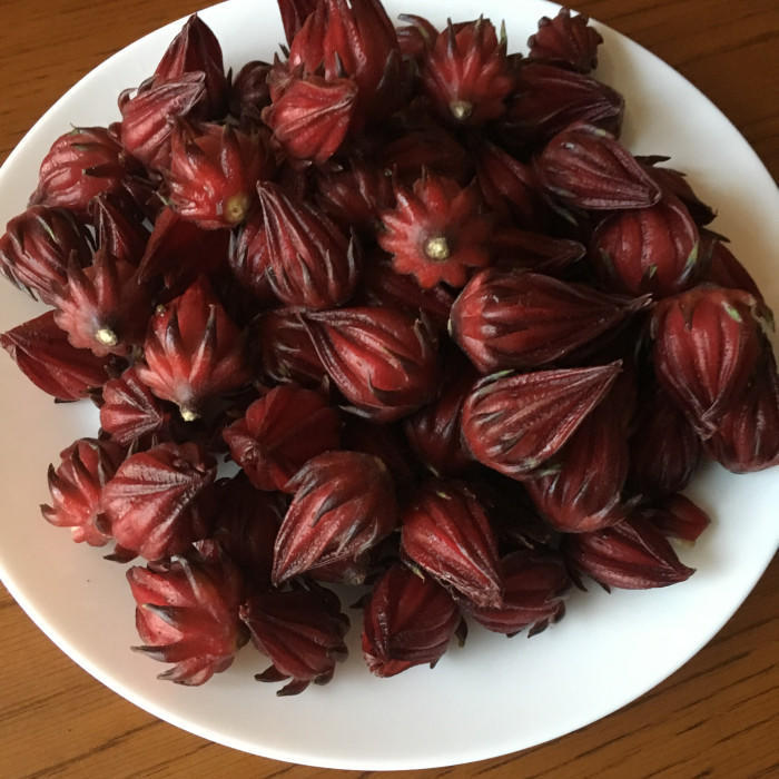 野菜や果物から始まる野菜ソムリエ的旅の組み立て方~名古屋への旅(ハイビスカスローゼル)