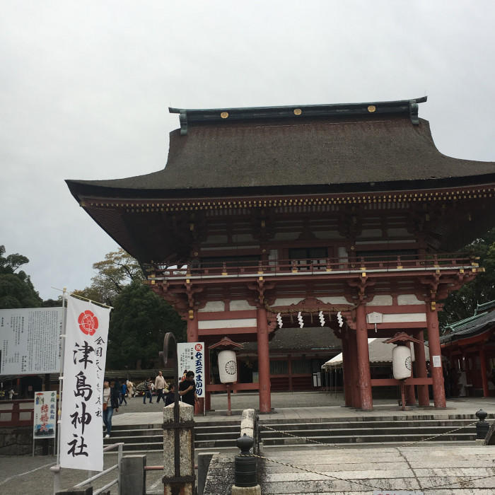 野菜や果物から始まる野菜ソムリエ的旅の組み立て方~名古屋への旅(ハイビスカスローゼル)