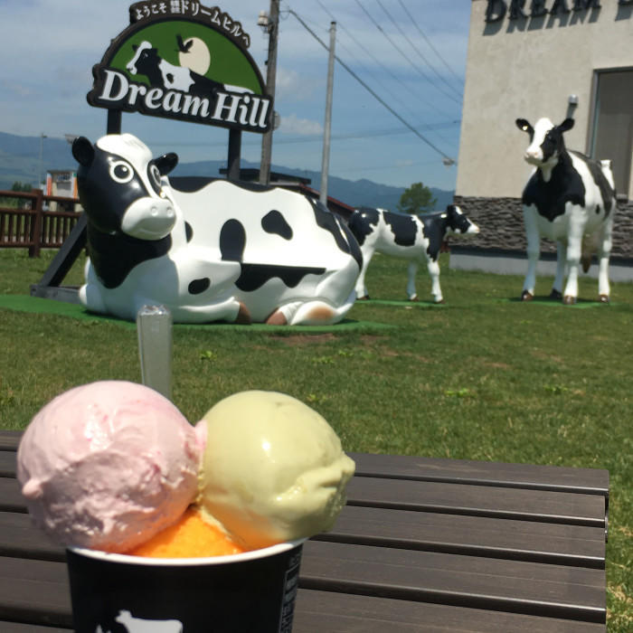 野菜や果物から始まる野菜ソムリエ的旅の組み立て方~北海道・十勝への旅(リーキ)