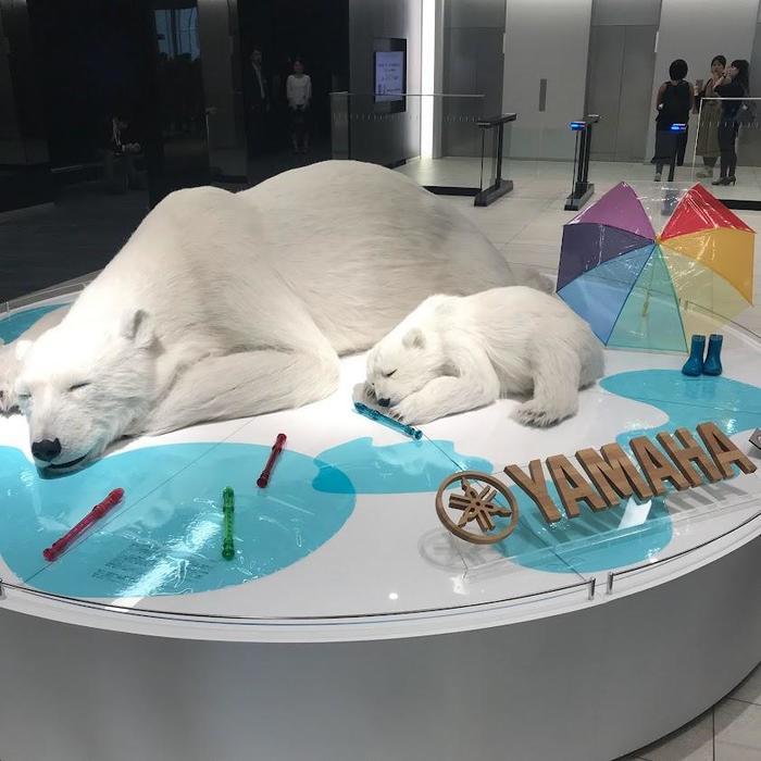 【静岡県浜松市】ワーケーションならここ!食も体験も出会いも大満足の浜松へようこそ!