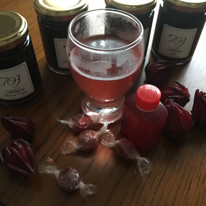 野菜や果物から始まる野菜ソムリエ的旅の組み立て方~名古屋への旅(ハイビスカスローゼル)