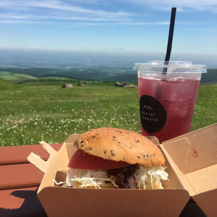野菜や果物から始まる野菜ソムリエ的旅の組み立て方~北海道・十勝への旅(リーキ)