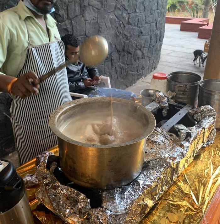 インドのトライバル博物館に行ったらエンタメだった
