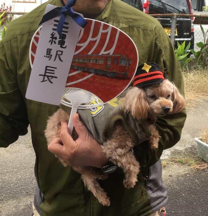 【四国】列車に乗りまくった1泊2日旅