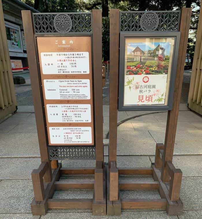 洋風と和風両方の庭園が楽しめる【旧古河庭園】秋バラ・紅葉もおすすめ！～東京さんぽ～