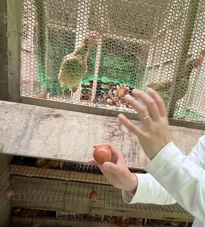 野菜や果物から始まる野菜ソムリエ的旅の組み立て方～富山への旅（初めての富山県）