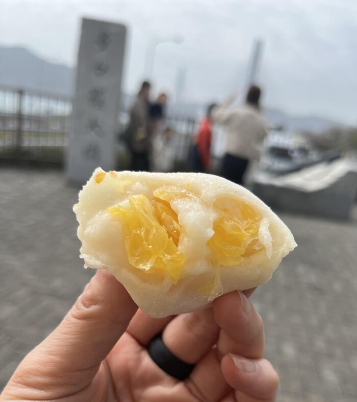 野菜や果物から始まる野菜ソムリエ的旅の組み立て方～広島への旅（レモン）