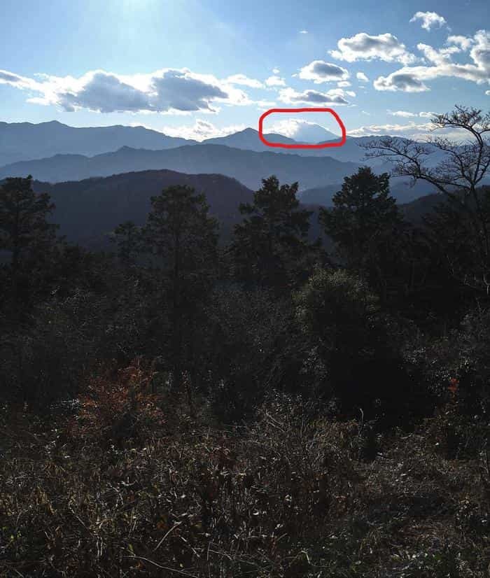 初心者でも楽々登頂！都内からお得に冬の高尾山日帰り旅行♪