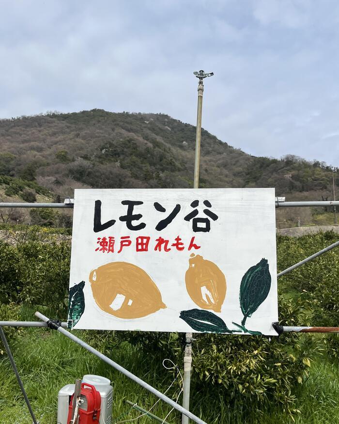 野菜や果物から始まる野菜ソムリエ的旅の組み立て方～広島への旅（レモン）