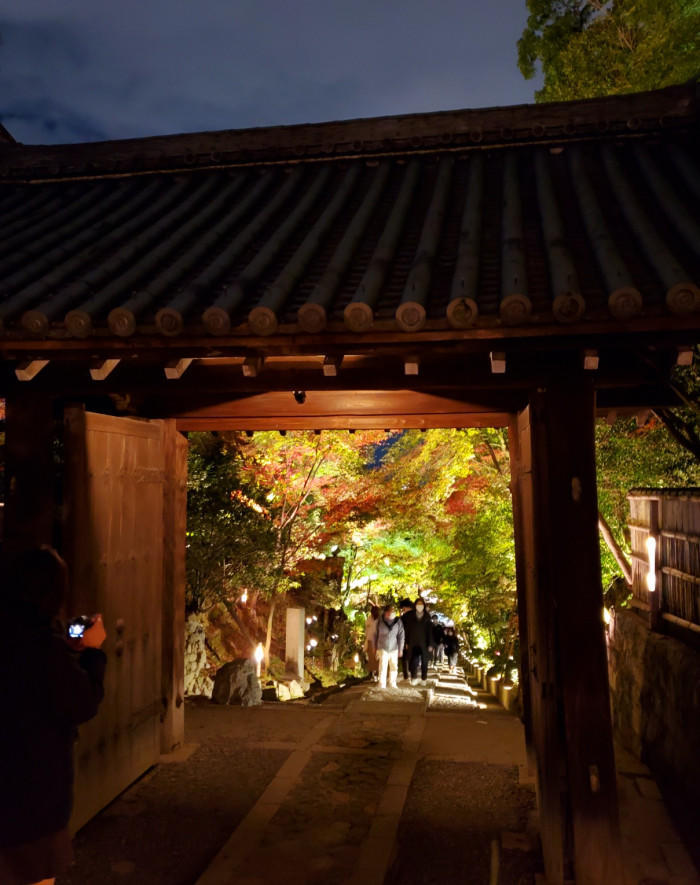 秋はやっぱり紅葉の綺麗な京都へ♪