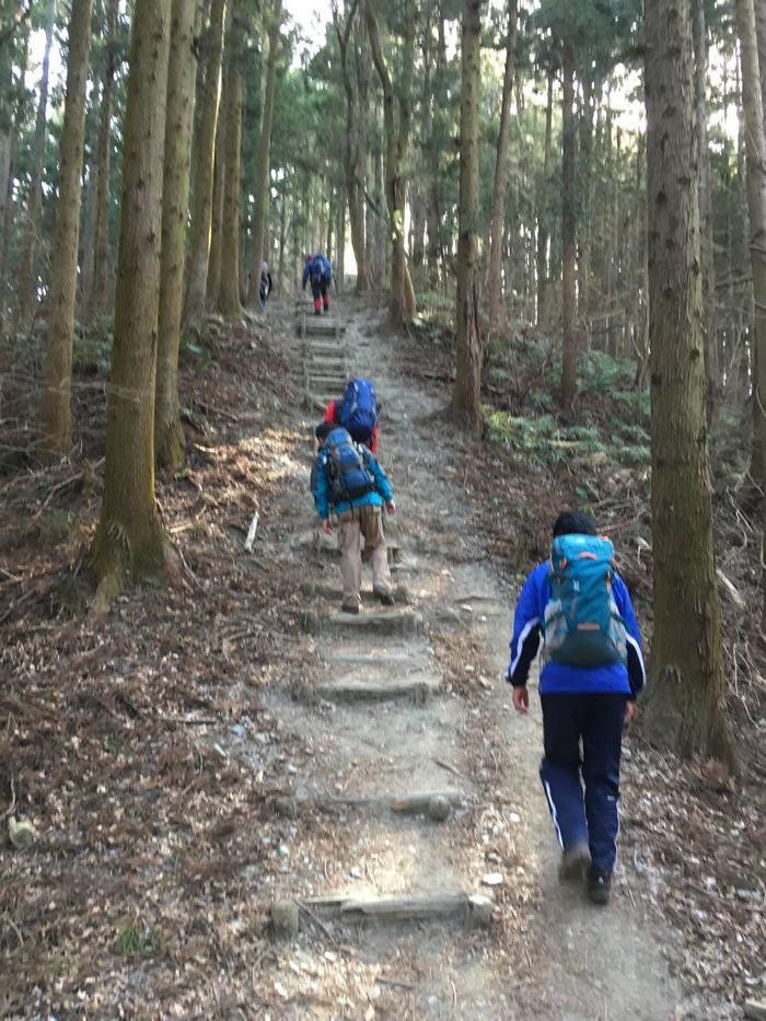 【冬の低山を楽しむ】お手軽な長瀞アルプスハイキング