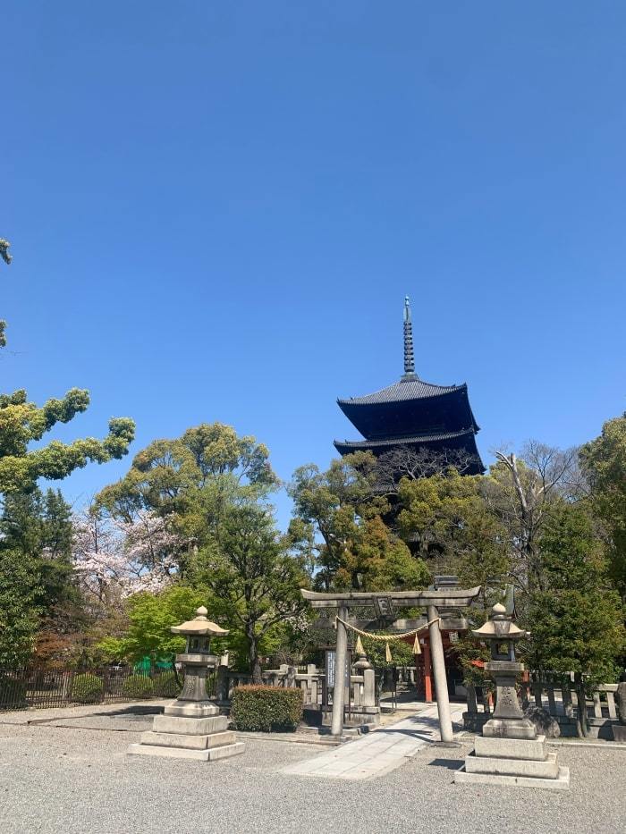 京都の隠れた世界遺産！？「東寺」の魅力にハマっちゃおう！！