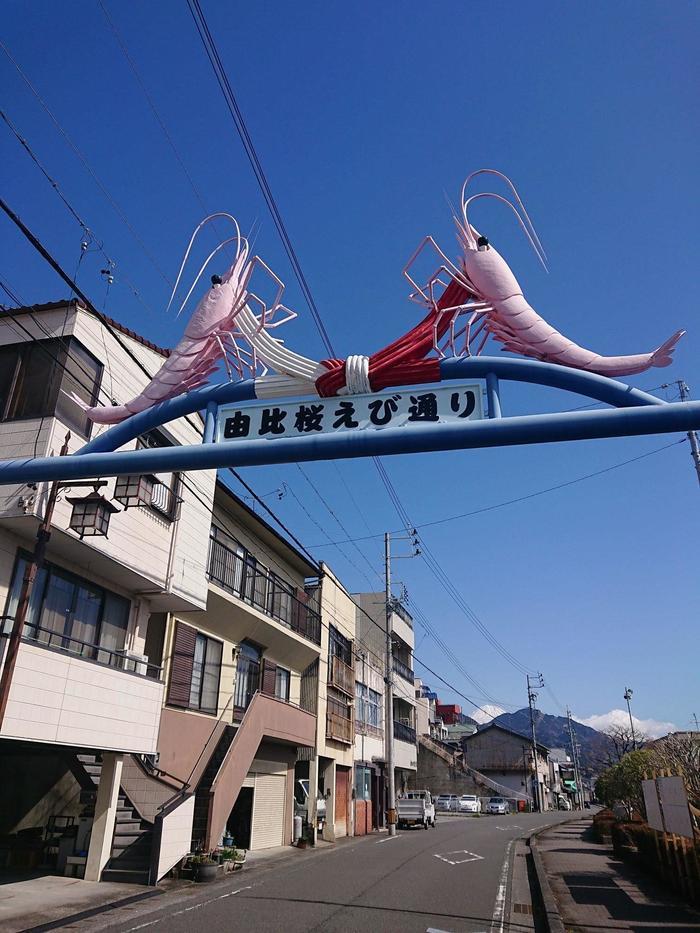 【静岡】至高のツナ缶と清水の絶品刺身定食、そして静岡駅周辺のみどころを紹介