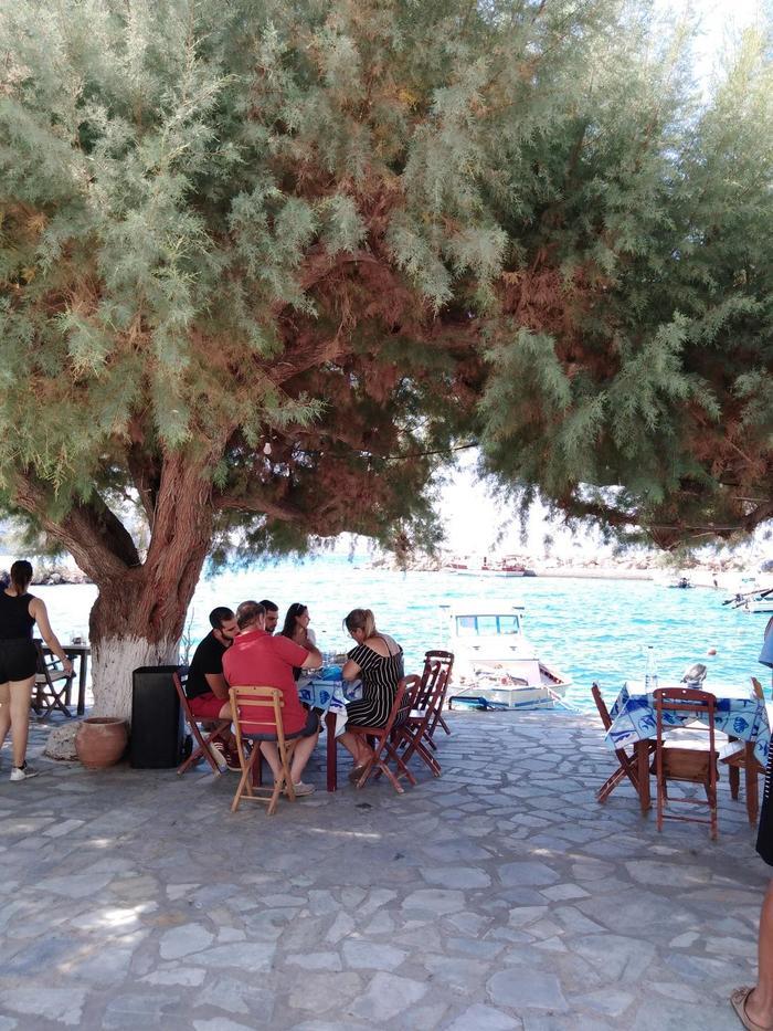 【ギリシャ】ティロス島で出会えた！珍しいシクラメンの葉っぱ料理