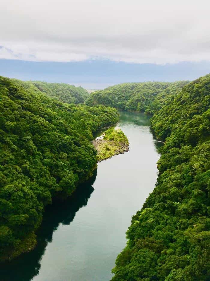 やっぱりすごい！神秘の世界遺産「屋久島」探訪の旅♪観光・ホテル・グルメをご紹介！