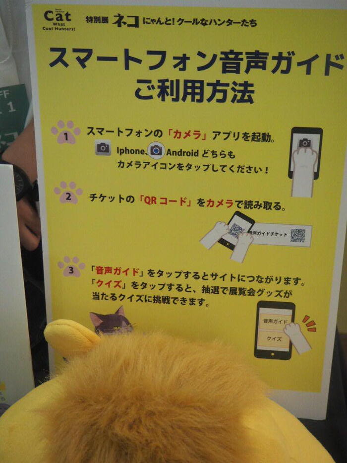 もっと知りたくなる！？バラエティでマニアックな特別展「ネコ」現在大阪開催中！