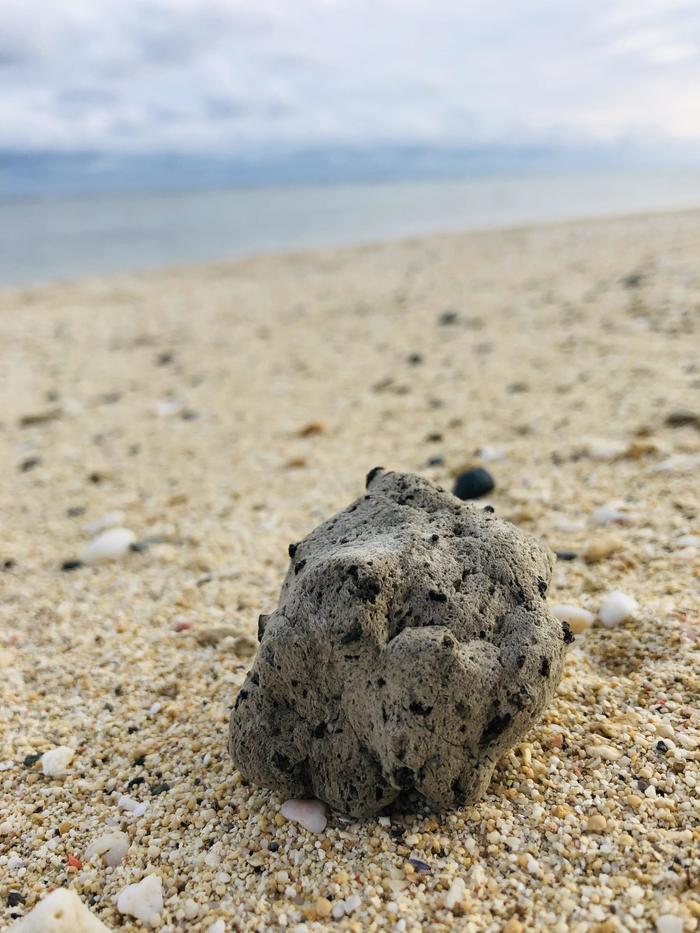 なぜ世界自然遺産の島？魅力いっぱいの奄美群島・徳之島